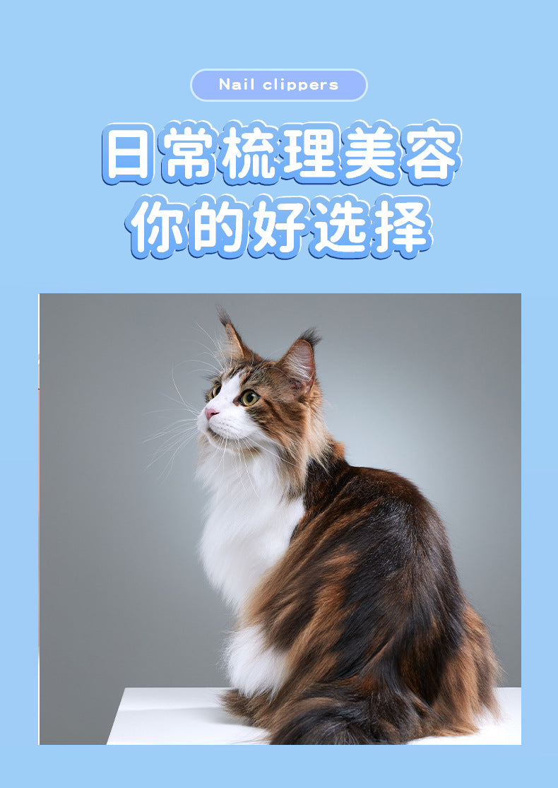 8d3cdf57-3747-4288-bb41-d8bda87ec955